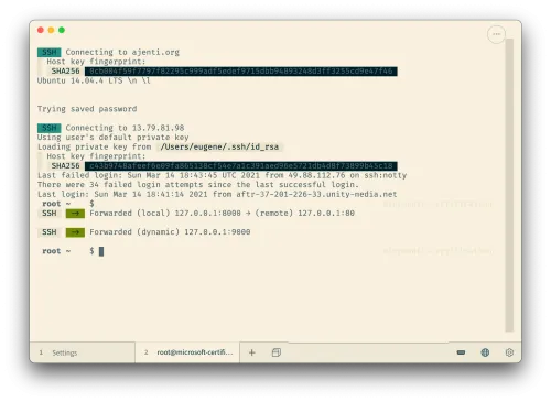 Screenshot eines Terminals auf macOS, das einen SSH-Login auf einem Server zeigt.